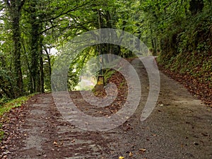 Camino waymark at a fork in the dirt road - Triacastela