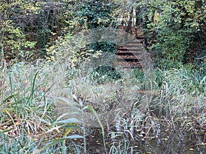 Camley Street Natural Park, Kings Cross, St Pancras, London UK. Urban nature reserve with meadow, pond and walkway.