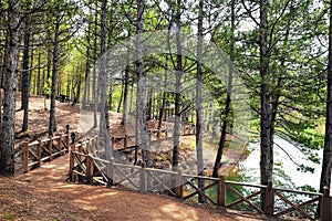 Camlik national park and lake, green pine forested hills, pinery at Yozgat city in Turkey