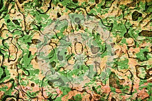 Camoflauge green and brown color pattern abstract background