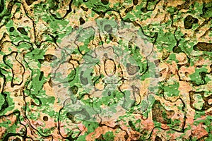 Camoflauge green and brown color pattern abstract background photo