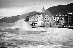 Camogli