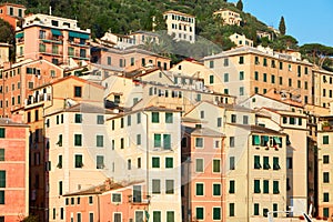 Camogli typical Italian village with colorful houses, Liguria