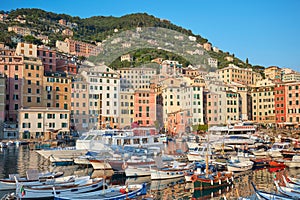 Camogli typical village with colorful houses and small harbor in Italy