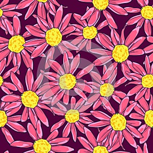 Camomile background. Pattern with daisy. Print for textile, vector.