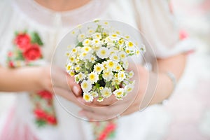 Camomile Bouquet