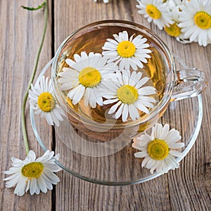 Camomile, daisy tea