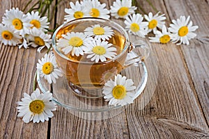 Camomile, daisy tea