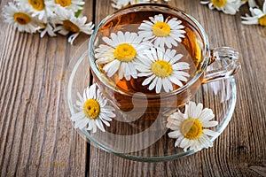 Camomile, daisy tea