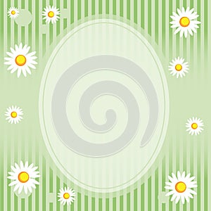 Camomile Floral Frame