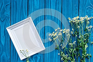 Camomile and frame for summer design on blue wooden desk background top view space for text