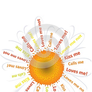 Camomile For Guessing