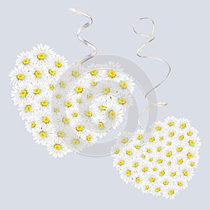 Camomile heart-shaped bouquets hand-drawn on light-grey background. Tender watercolor floral illustration of flower