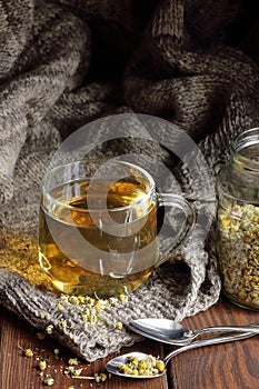 Camomile herbal dried tea in a glass cup with flowers and knitted woollen sweater on wooden rustic background
