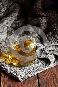 Camomile herbal dried tea in a glass cup with flowers and knitted woollen sweater on wooden rustic background