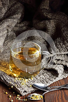 Camomile herbal dried tea in a glass cup with flowers and knitted woollen sweater on wooden rustic background