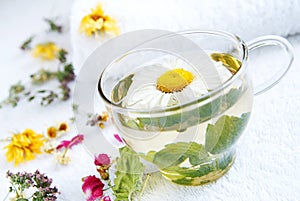 Camomile-mint medical tea photo