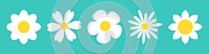 Camomile set line. White daisy chamomile icon. Cute round flower plant nature collection. Love card symbol. Growing concept.