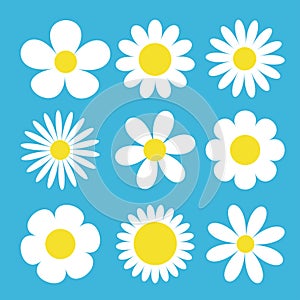 Camomile set. White daisy chamomile icon. Cute round flower plant collection. Love card symbol. Growing concept. Flat design. Blue