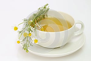 Camomile tea