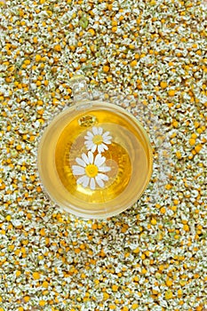 Camomile tea natural herbal organic beverage in