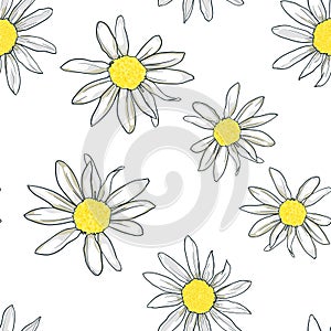 Camomile on a white background. Pattern with daisy. Print for textile, vector.