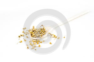 Camomile on a wooden spoon isolated on a white background