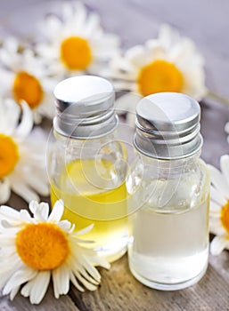 Camomille oil