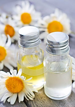 Camomille oil