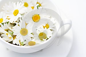 Camomille tea photo