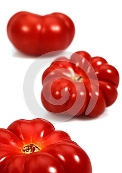 Camone Tomatoes, solanum lycopersicum, Vegetable against White Background