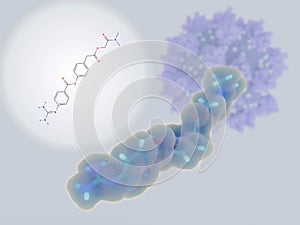 Camostat,  a potential drug against coronavirus  SARS-CoV_2