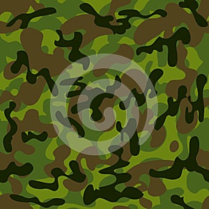 Camouflage photo