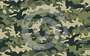 Camouflage photo