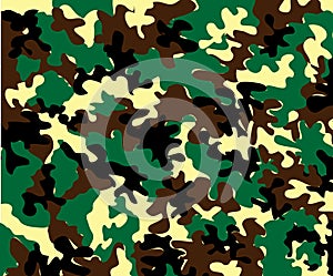 camouflage photo