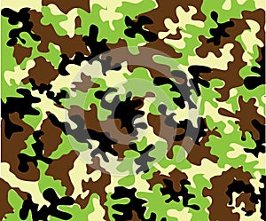 camouflage photo