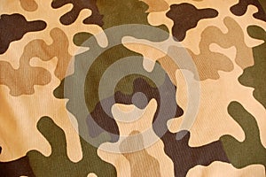 Camouflage background