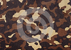 Camouflage background