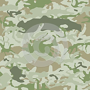 Camouflage background