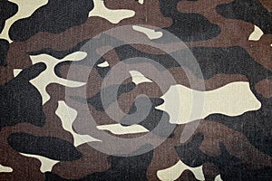 Camouflage background