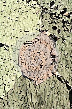 Camouflage Background