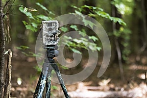 Camouflage game trail camera trap set in the woods