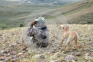 Camouflage hunter and dogs scanning arid landscape