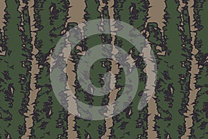 Camouflage paint background