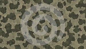 Camouflage Pattern Texture