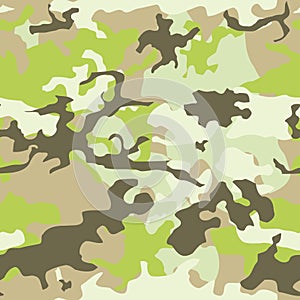 Camouflage seamless pattern