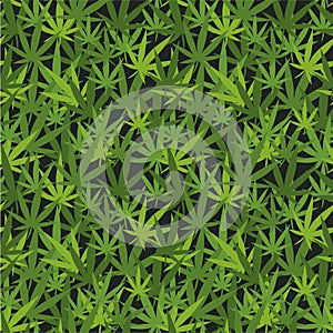 Camouflage seamless wallpaper with marijuana green abstract leaves on dark background