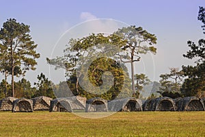 Camouflage tent in national park, Thailand.