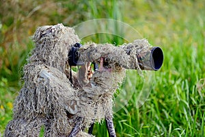 Camouflage wildlife photographer in the ghillie suit