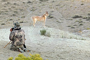 Camouflaged arid desert hunter and hunting dog